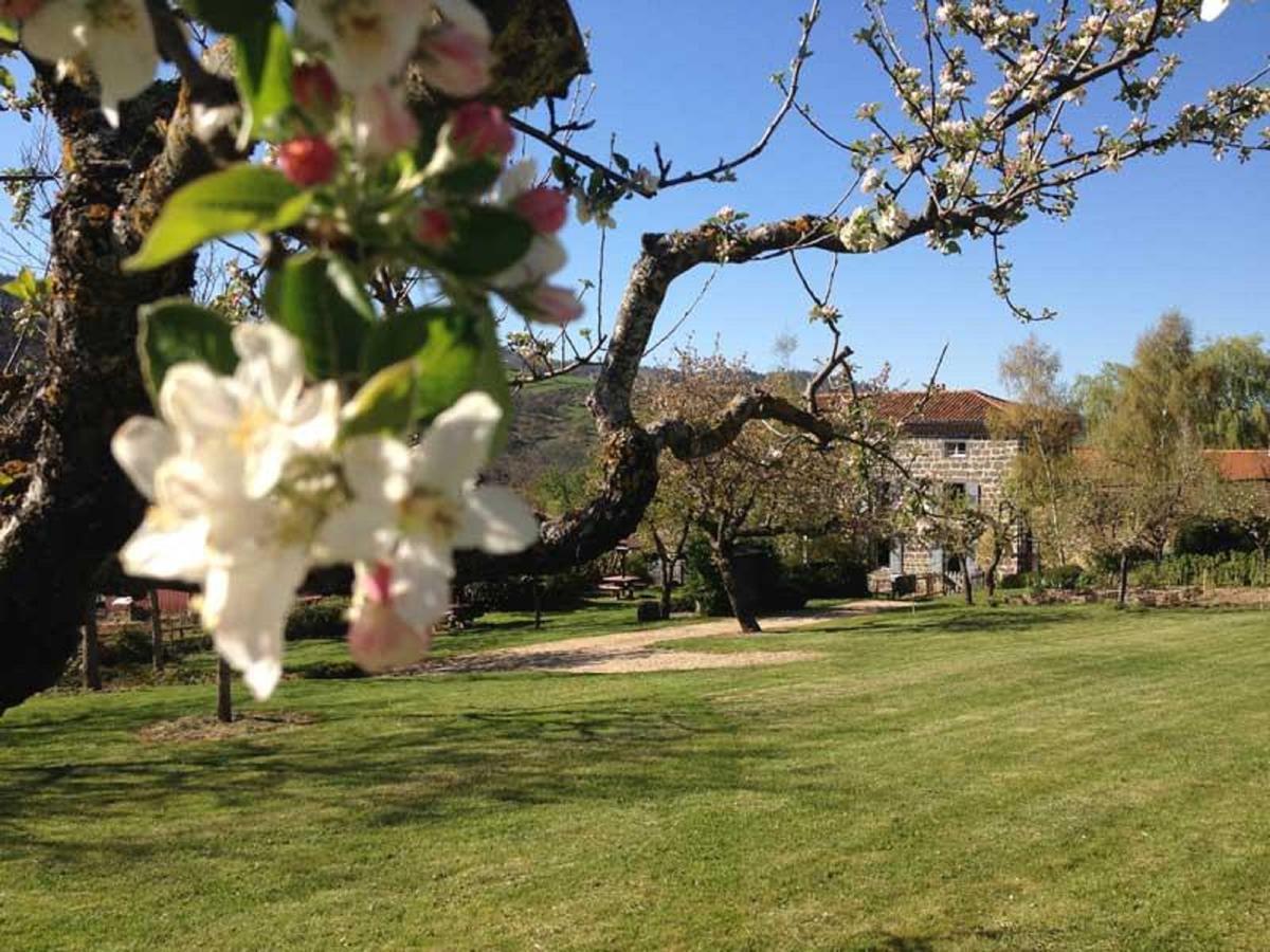 Les Jardins D'Anna - Chambres D'Hotes Tapon Exterior foto